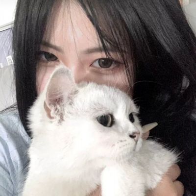 bte365真正的网站下载手机版