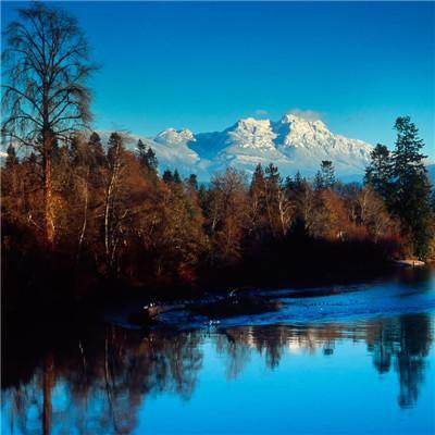 app开元集团apk900截图