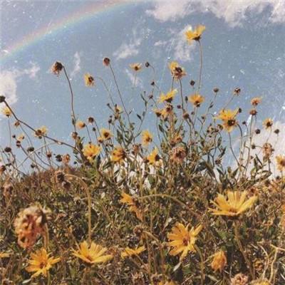 半岛彩票手机app下载