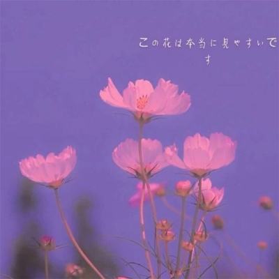 贝博app代言艾弗森截图